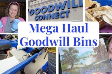 Mega Goodwill Bins Shop & Haul | I Found Pottery Barn, Anthropologie, and Crate and Barrel!!!