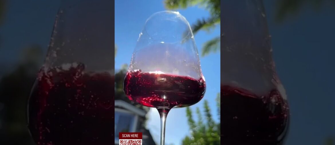 DAOU Micho Merlot | American Wine | French Wine | Carter Cellar Wine #wine #winetasting #uswine