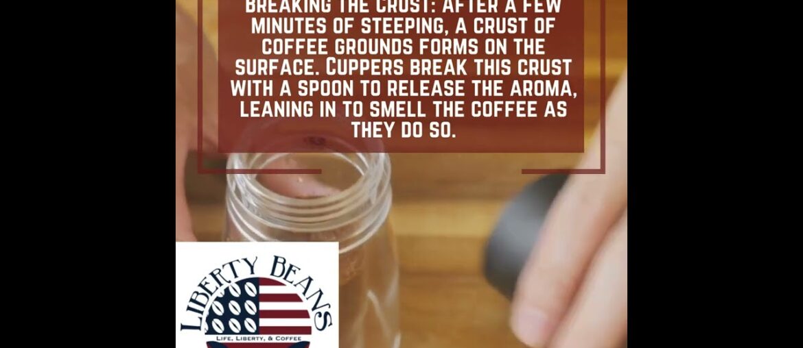 DIY Coffee Cupping: Learn how to taste like the Professionals DIY Coffee Cupping: Learn how to taste like the Professionals