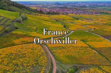 Wine Paradise: Discovering the Vineyards of France Orschwiller