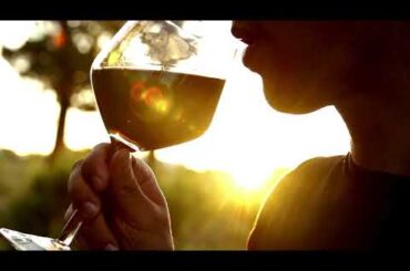 Embrace the Essence of France: An Immersive Journey with French Side Travel