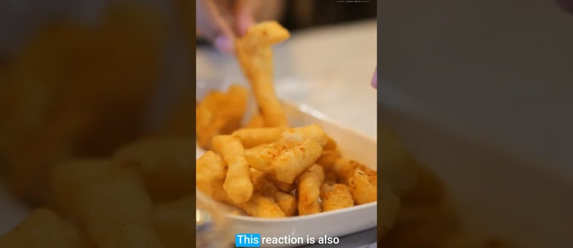 Why McDonald’s Fries Taste Amazing: The Secret Revealed : The Maillard Reaction Explained #shorts Why McDonald's Fries Taste Amazing: The Secret Revealed : The Maillard Reaction Explained #shorts
