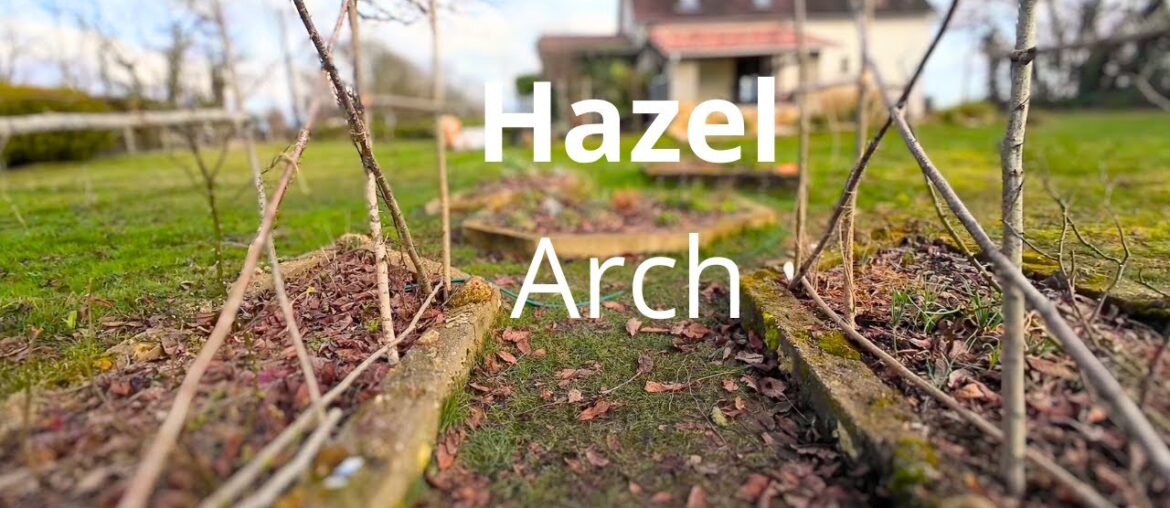 Rose Arbor cut from Hazel in our French Garden
