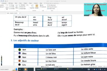 Les Adjectifs - Part-2 - Adjectives in French - 1 st Yr - Grammar - BIE - TS/AP  : +91 - 8985278894.