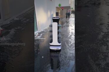 Mars Indoor and Outdoor Delivery at French Restaurant