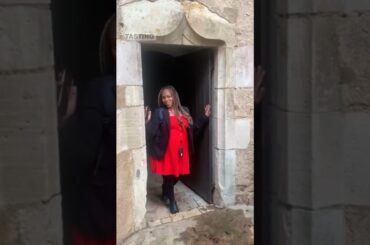 Beaujolais France Wine Tasting at a Chateau #shorts