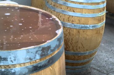 Great French Oak barrels make great wine