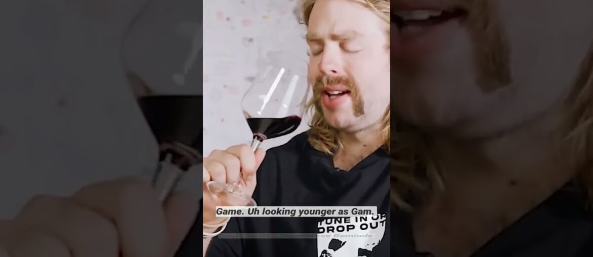 FRENCH Pinot Noir INSANELY CHEAP…! #shorts FRENCH Pinot Noir INSANELY CHEAP...! #shorts