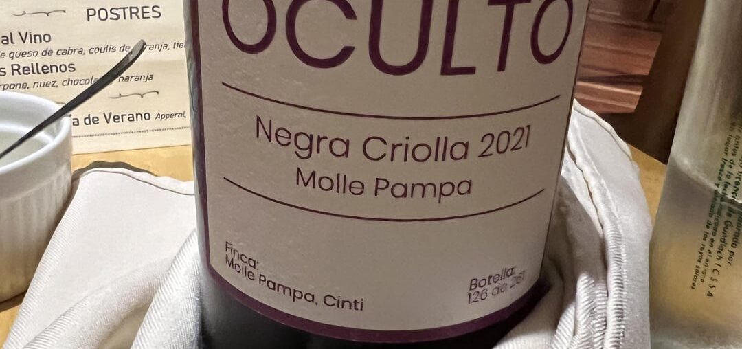 Bolivian natural wines