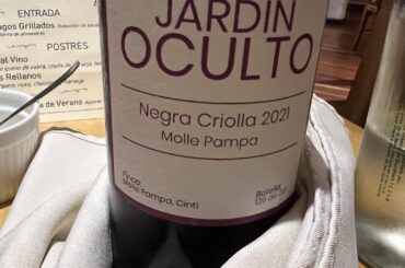 Bolivian natural wines