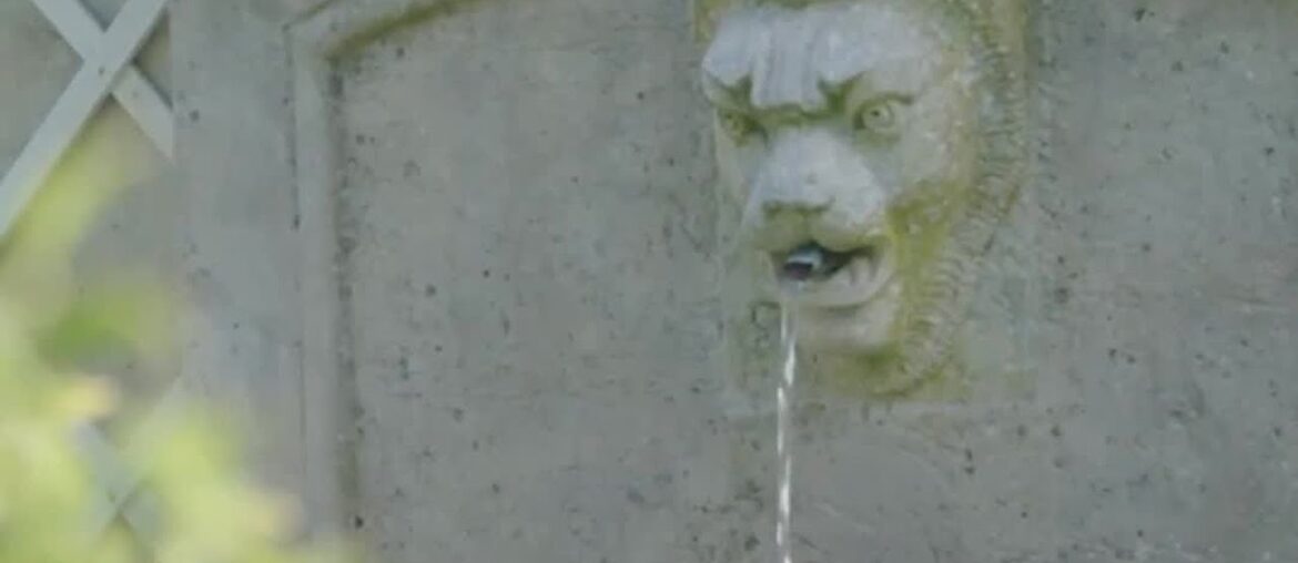 The Contrast of French & English Gardens The Contrast of French & English Gardens