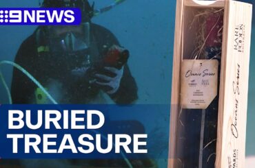 Australian company selling wine cellared on the ocean floor | 9 News Australia