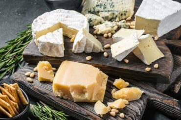 Brie Couture: A Viral Sensation in the Cheese World