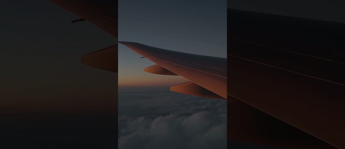 French wine brand ranking