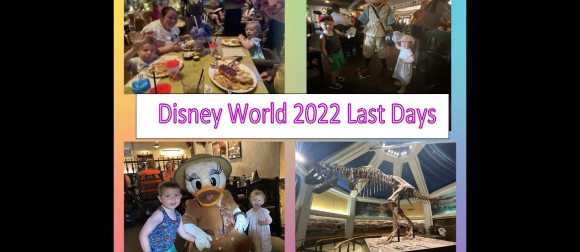 Walt Disney World 2022|Port Orleans Royal GuestRoom FULL Tour|Character Dining & French Qtr Beignets