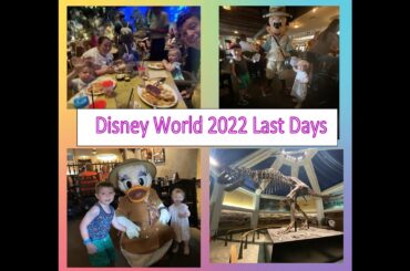 Walt Disney World 2022|Port Orleans Royal GuestRoom FULL Tour|Character Dining & French Qtr Beignets