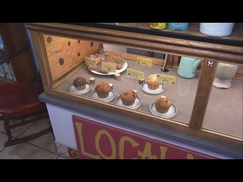 Cheap Eats: The Flower Pot Cafe and Bakery Cheap Eats: The Flower Pot Cafe and Bakery