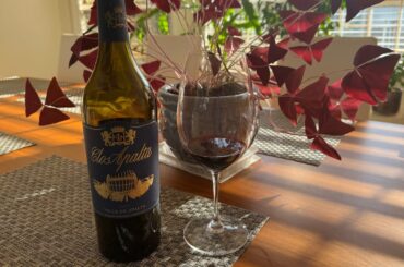 Clos Apalta 2015 Premium Chilean Wine Review
