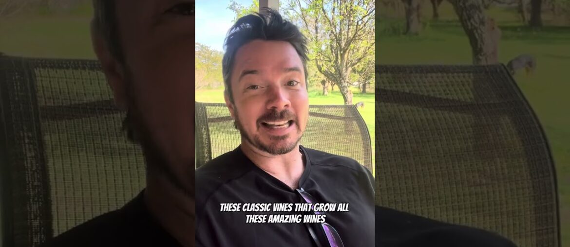 How Texas Saved Wine How Texas Saved Wine