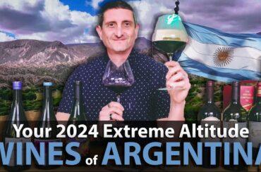 Your 2024 Argentina Wine Collection is Here!