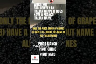 How to Pronounce Pinot Grigio #howtopronounce #italianpronunciation #shorts