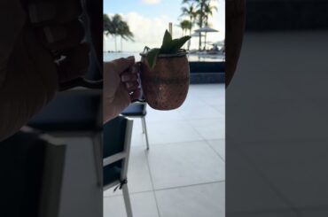 St. Martin Island Adventure | The Morgan Hotel | Mullet Bay Beach #shorts