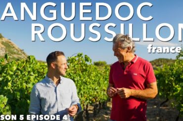 HIDDEN GEM in the South France? Tour the World's Largest Wine Region!