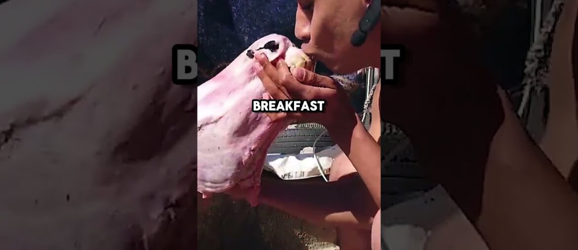 Lost Wine Cellar Makes Vlogger a Millionaire