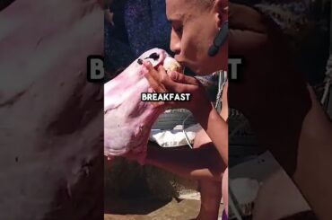 Lost Wine Cellar Makes Vlogger a Millionaire