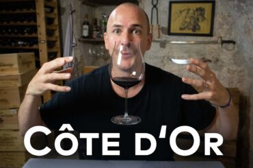 BURGUNDY'S COTE D'OR - WINE IN 10