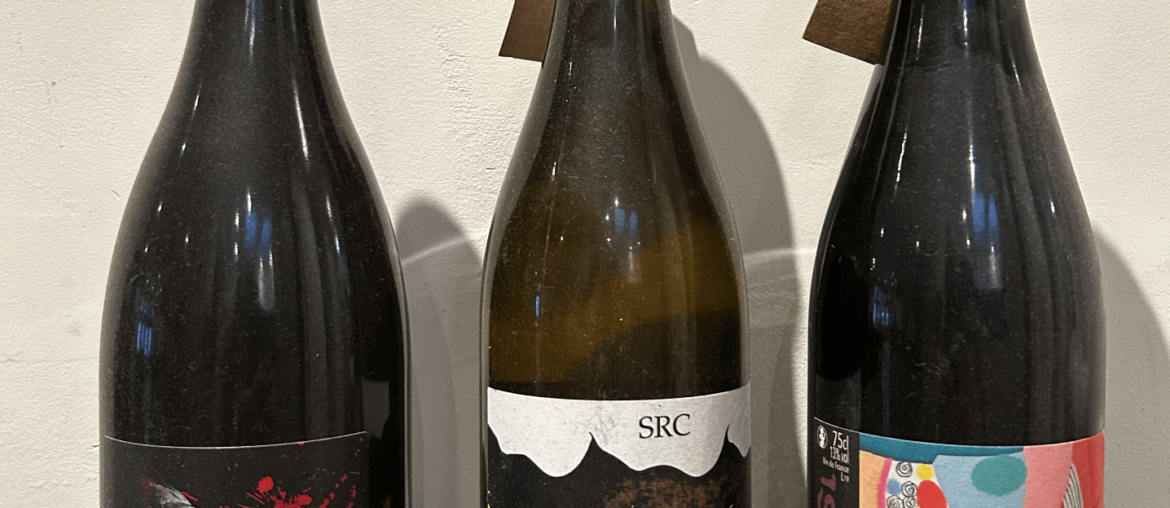 I'm new here...today I brought home these babies