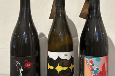 I'm new here...today I brought home these babies