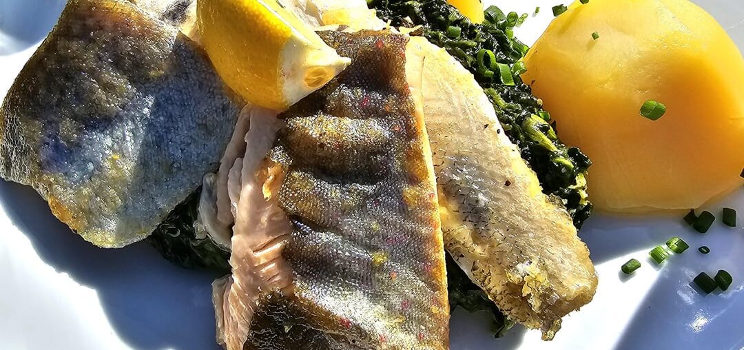 Fillets of zander, trout and char with spinach and boiled potatoes, served on today's sunny day in spring on the island of Reichenau, Lake Constance, Germany