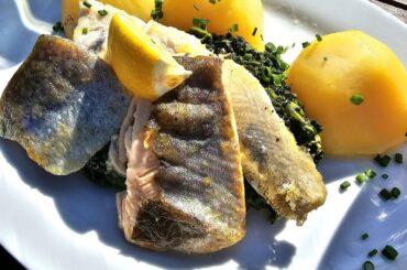 Fillets of zander, trout and char with spinach and boiled potatoes, served on today's sunny day in spring on the island of Reichenau, Lake Constance, Germany