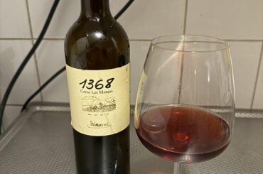 1368 Cerro Las Monjas (2010)