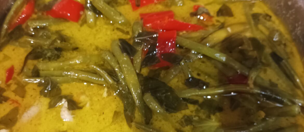 La fois où j'ai fait une version un peu revisité du curry thaïlandais vert