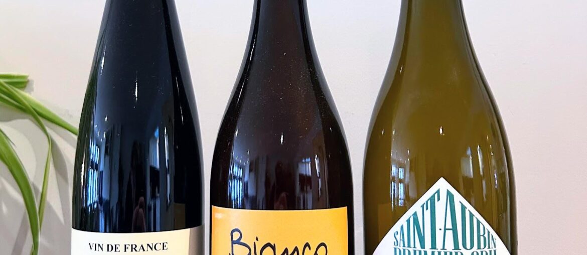 Brought these home today :)