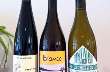 Brought these home today :)