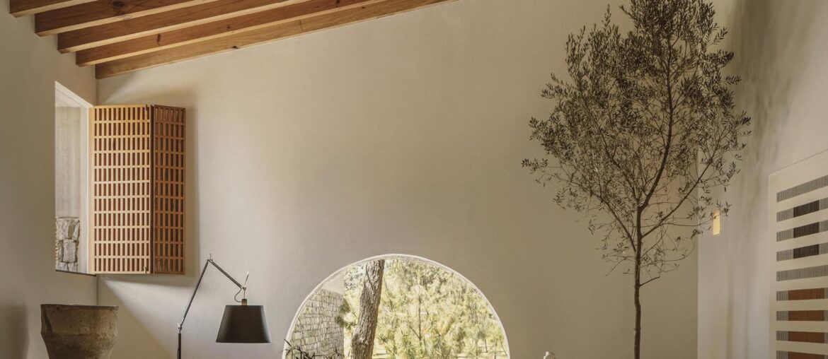 Cabin living space with a slanted timber ceiling, Tapalpa, Jalisco, Mexico [2000x3000]