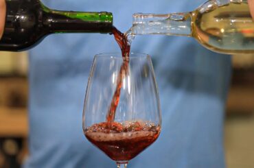 The SHOCKING Differences Between Red and White Wine