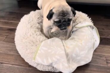 Lady McPloppins: Peanut Butter ASMR