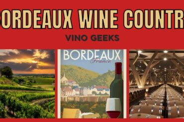 Bordeaux Wine Country: A Taste of French Elegance