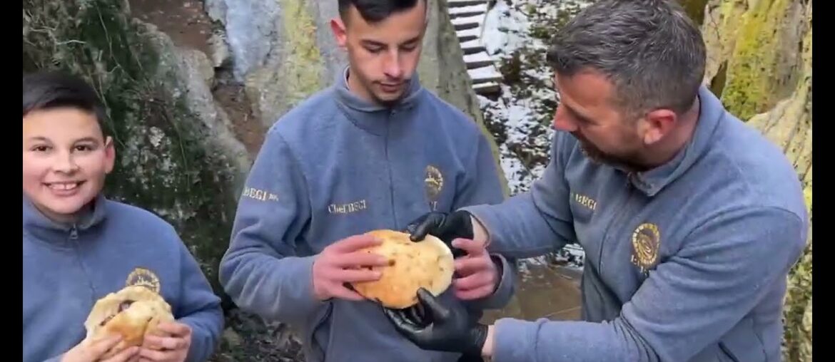 STEAK FRIES, incredible jucy Recipie you will fall in love with ( wild cooking) #cooking #food