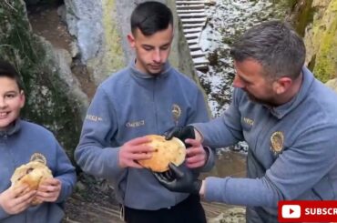 STEAK FRIES, incredible jucy Recipie you will fall in love with ( wild cooking) #cooking #food