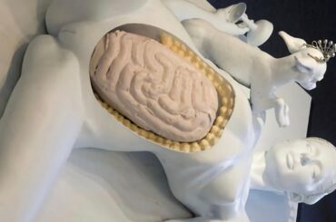 Sexiest food France,faint hearted,Artisan Delicacy,Aquired taste,Andalouitte,chitterlings,Andouille