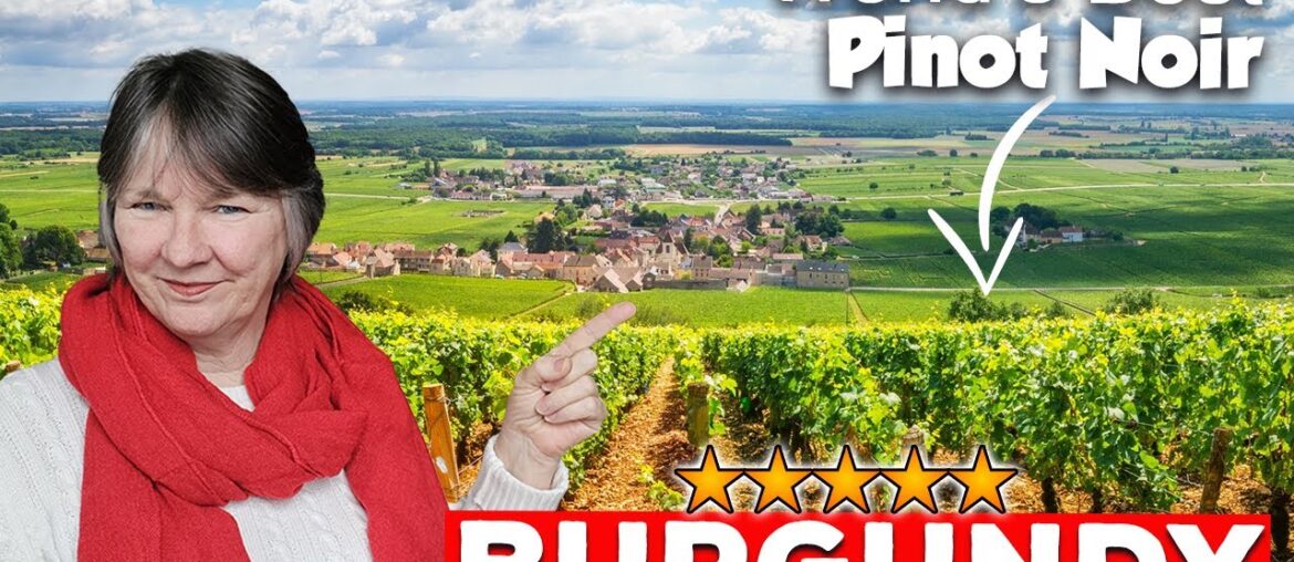 48 Hours In Burgundy: Exploring The Top Pinot Noir Wineries! 48 Hours In Burgundy: Exploring The Top Pinot Noir Wineries!