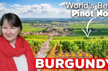 48 Hours In Burgundy: Exploring The Top Pinot Noir Wineries!