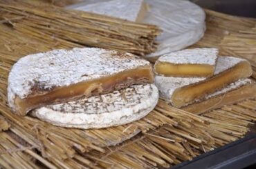 Brie Noir: The Dark Secret of French Cheeses