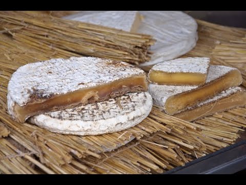 Brie Noir: The Dark Secret of French Cheeses Brie Noir: The Dark Secret of French Cheeses