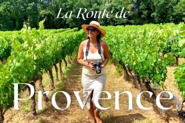 Best of Provence Road Trip, Wine Tasting, Lavender Fields, Gorges du Verdon, Visit Provence France